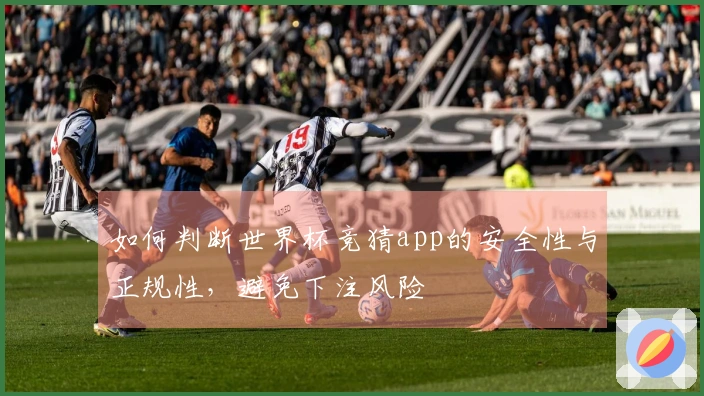 如何判断世界杯竞猜app的安全性与正规性，避免下注风险