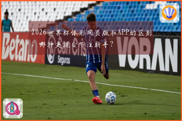 2026世界杯体彩网页版和APP的区别，哪种更适合下注新手？